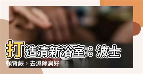 波士頓蕨浴室|波士頓蕨養護指南：如何照料您的室內綠色天堂 